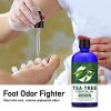 Premium Grade 100% Pure Tea Tree Essential Oil - Lagunamoon's 5 oz Bottle for Your Skin, Hair, Aromatherapy, and More