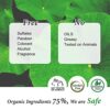 Salicylic Acid 4% Exfoliant Facial Serum with Niacinamide