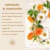 Feel Good Vitamin C Serum — Hydrating,  Brightening