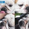 Squishface Wrinkle Paste - Cleans Wrinkles