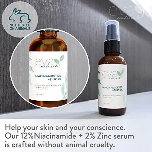 12% Niacinamide Serum for Face + Zinc PCA – Vitamin B3