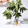 Natural Hydrating Triple Biotic Complex Anti-Aging Facial Serum