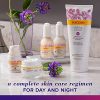 Burt's Bees Renewal Intensive Firming Face Serum