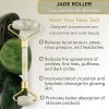 NagaSona Jade Roller – Premium Jade Roller for Face Made