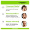 Chlorophyll Zits Cream: Natural Acne Treatment with Tea Tree Oil for Clear, Healthy Skin - Night/Day Moisturizer