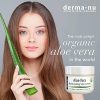 Organic Aloe Vera Lotion for Face - Facial Moisturizng for Dry Skin