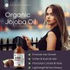 Organic Jojoba Oil – 100% Pure, Cold Pressed & Unrefined for Hair, Face & Skin (4 oz)