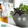 NaturesPlus Herbal Actives Ultra Acai - 1200 mg - Image 3