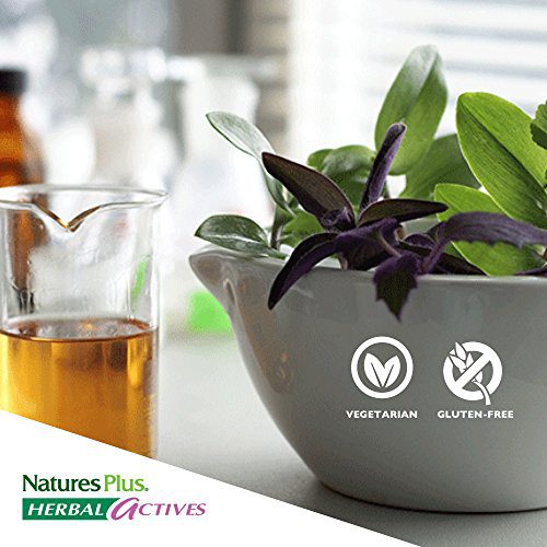NaturesPlus Herbal Actives Ultra Acai - 1200 mg