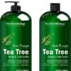 Tea Tree Body Wash - HUGE 16 OZ - Helps Nail Fungus