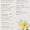 Eminence Bamboo Firming Fluid - Natural Beauty Infusion for Nourished, Balanced, and Youthful Skin