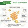 Wild Naturals Manuka Honey Cream : Soothing Dry Skin Lotion
