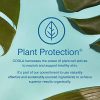 Tinted Sunscreen Sunblock Skin Care for Daily Protection Broad Spectrum SPF 30